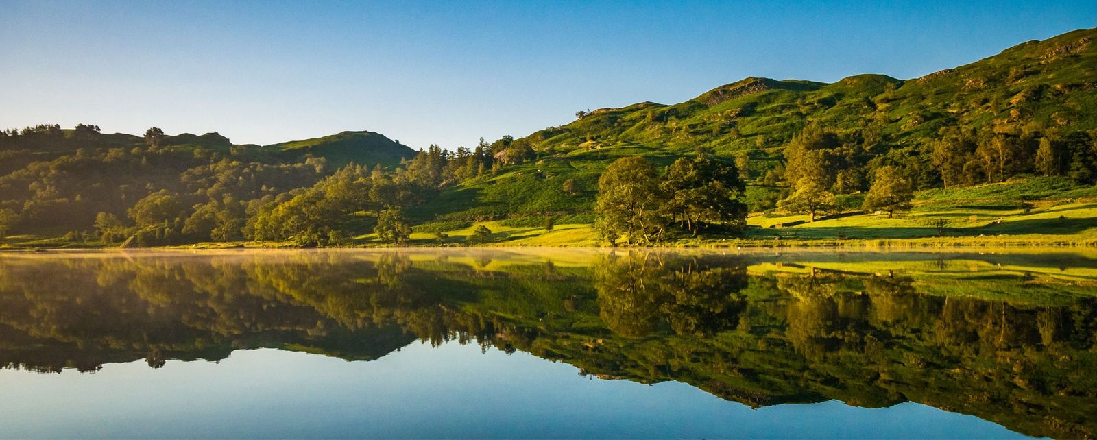 A view of a lake with trees in the background